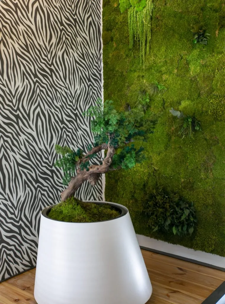 plants decoration plantas decoración